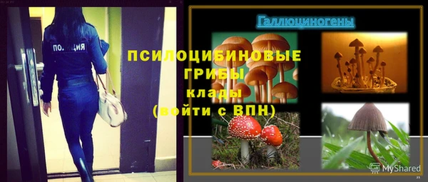 apvp Протвино