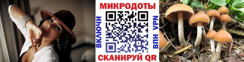 mega ONION  Инта  Галлюциногенные грибы прущие грибы 