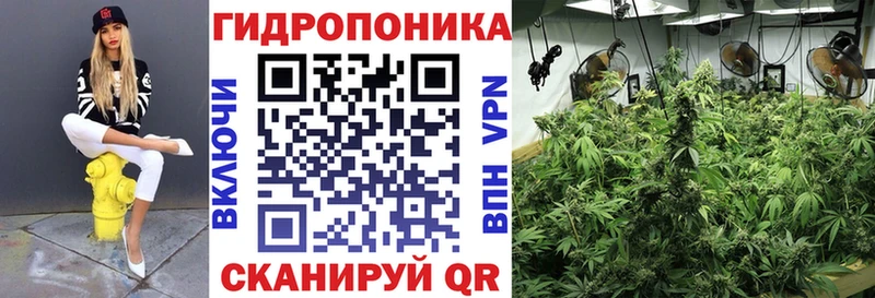 Бошки Шишки ГИДРОПОН  как найти наркотики  блэк спрут tor  Инта 